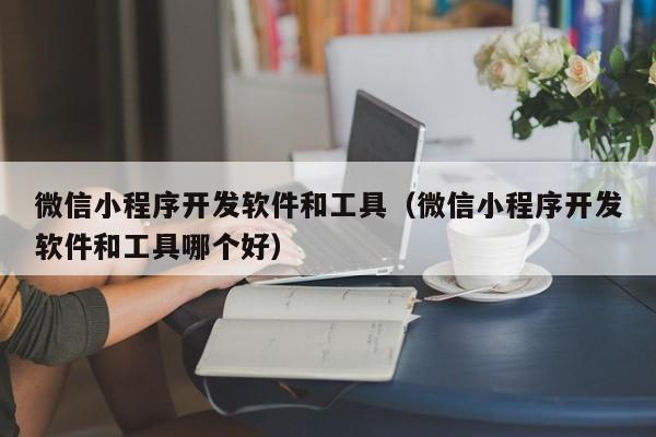 微信小程序开发软件和工具(微信小程序开发软件和工具哪个好)
