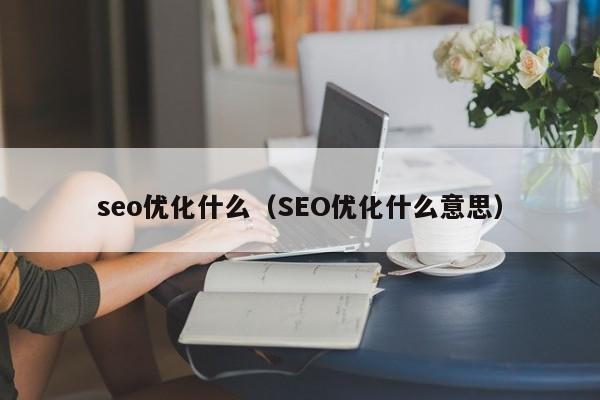 seo优化什么(SEO优化什么意思)