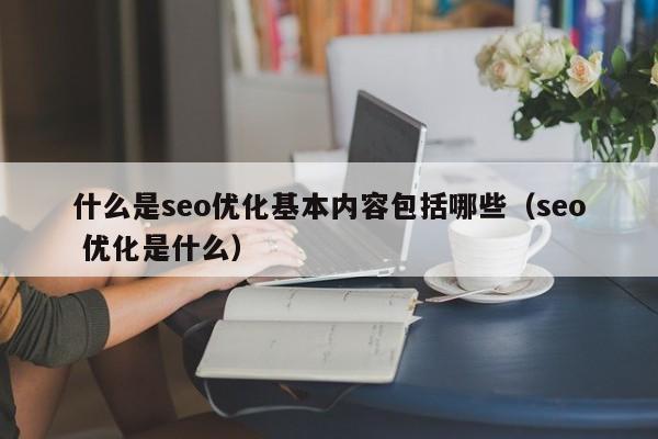 什么是seo优化基本内容包括哪些(seo 优化是什么)