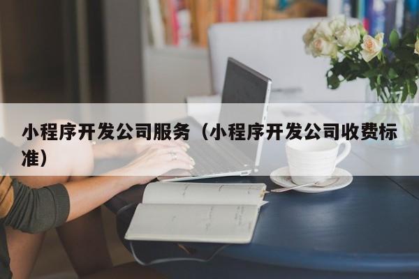 小程序开发公司服务(小程序开发公司收费标准)
