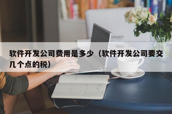 软件开发公司费用是多少(软件开发公司要交几个点的税)