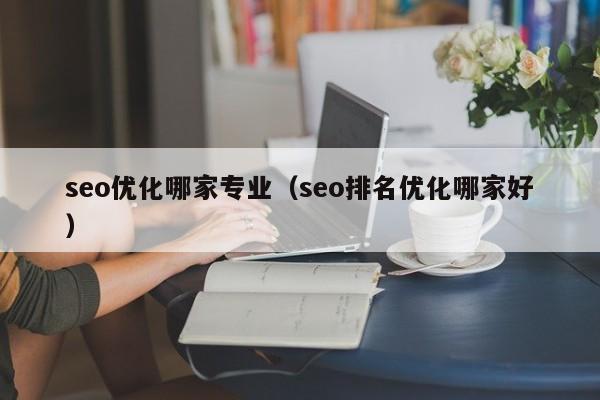 seo优化哪家专业(seo排名优化哪家好)