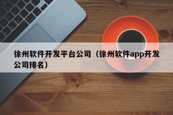 徐州软件开发平台公司(徐州软件app开发公司排名)