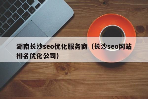 湖南长沙seo优化服务商(长沙seo网站排名优化公司)