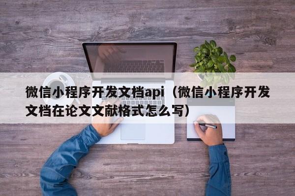 微信小程序开发文档api(微信小程序开发文档在论文文献格式怎么写)