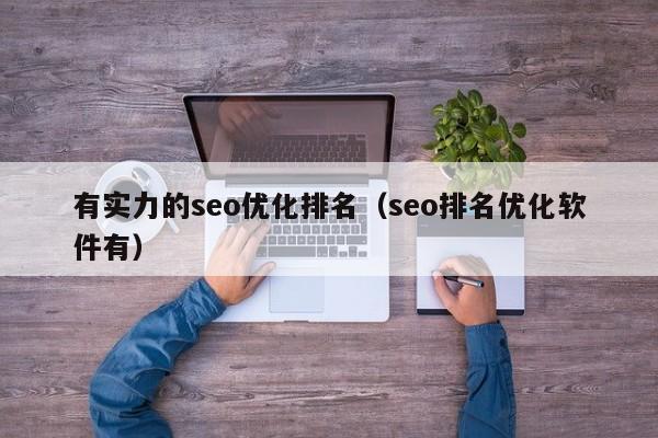 有实力的seo优化排名(seo排名优化软件有)