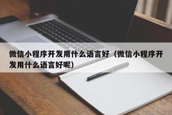 微信小程序开发用什么语言好(微信小程序开发用什么语言好呢)