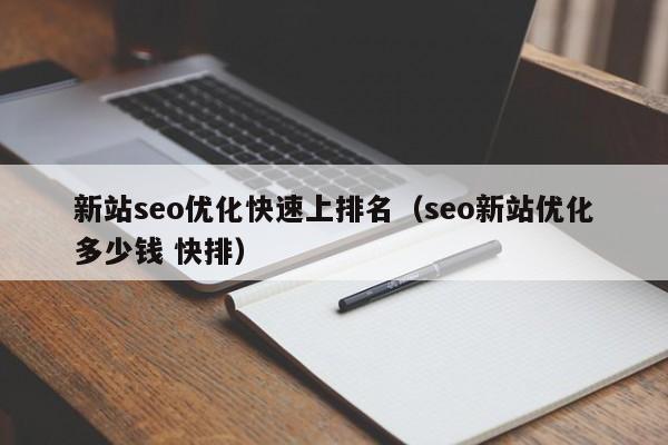 新站seo优化快速上排名(seo新站优化多少钱 快排)