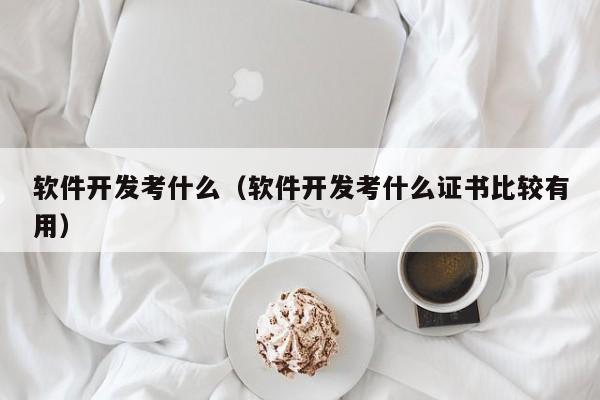 软件开发考什么(软件开发考什么证书比较有用)