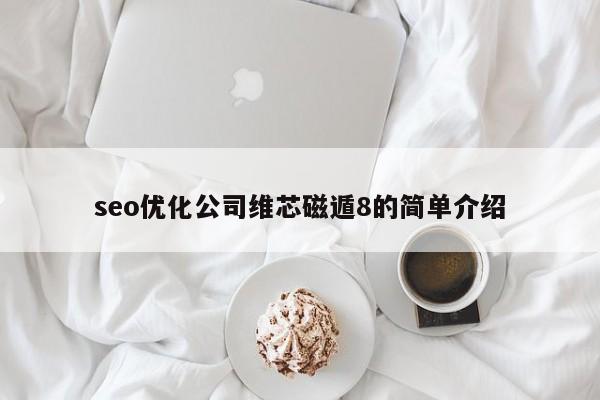 seo优化公司维芯磁遁8的简单介绍