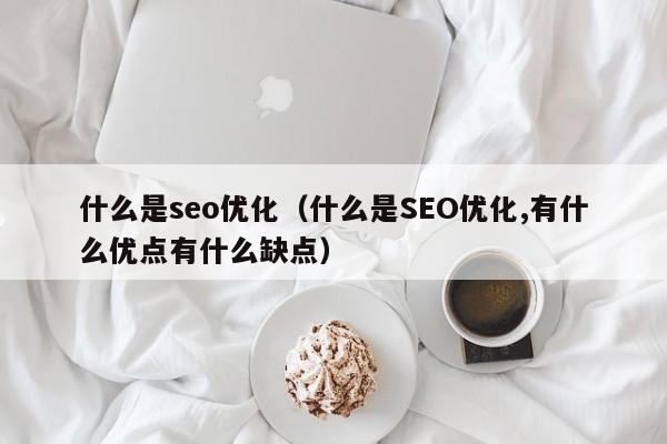 什么是seo优化(什么是SEO优化,有什么优点有什么缺点)