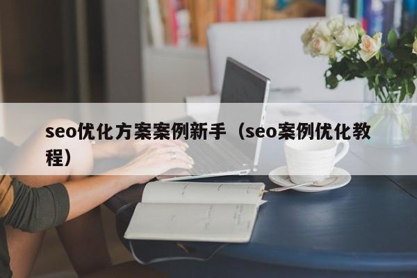 seo优化方案案例新手(seo案例优化教程)