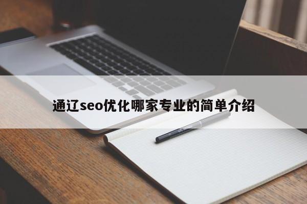 通辽seo优化哪家专业的简单介绍
