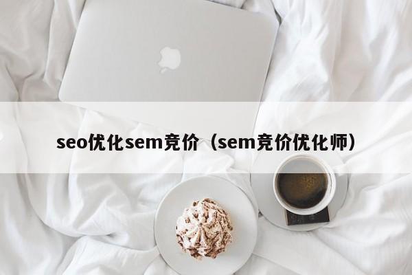seo优化sem竞价(sem竞价优化师)
