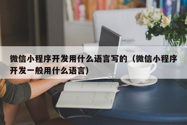 微信小程序开发用什么语言写的(微信小程序开发一般用什么语言)