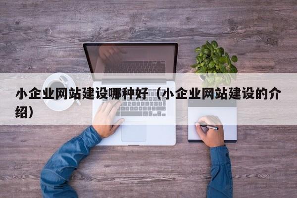 小企业网站建设哪种好(小企业网站建设的介绍)