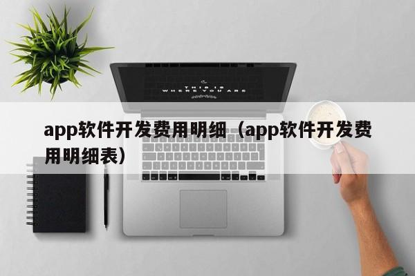 app软件开发费用明细(app软件开发费用明细表)