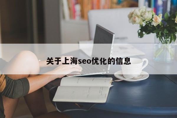 关于上海seo优化的信息