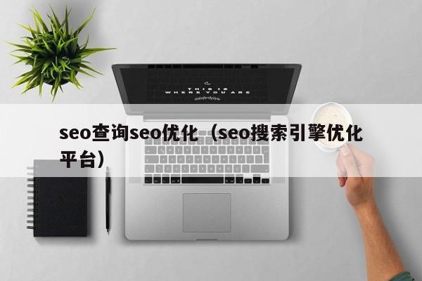 seo查询seo优化(seo搜索引擎优化平台)