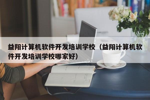 益阳计算机软件开发培训学校(益阳计算机软件开发培训学校哪家好)
