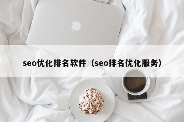 seo优化排名软件(seo排名优化服务)