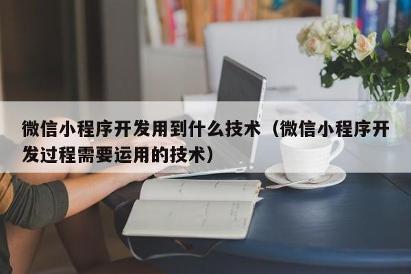 微信小程序开发用到什么技术(微信小程序开发过程需要运用的技术)