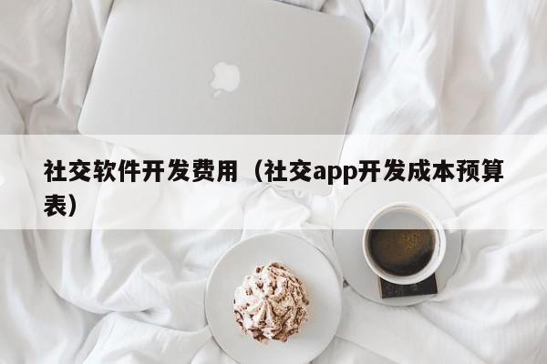 社交软件开发费用(社交app开发成本预算表)