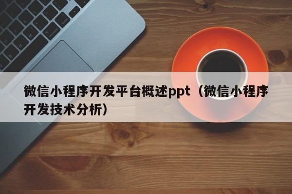 微信小程序开发平台概述ppt(微信小程序开发技术分析)