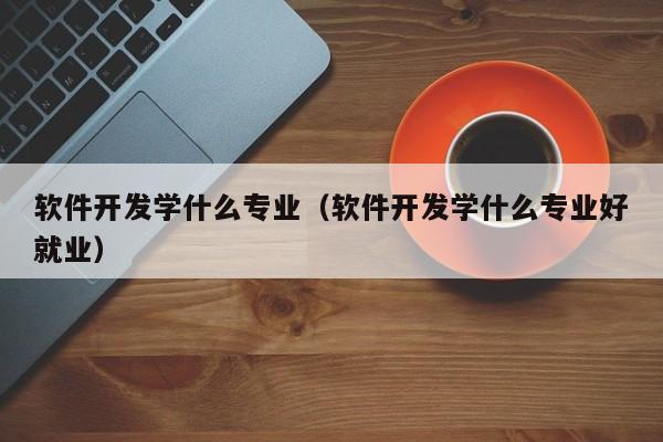 软件开发学什么专业(软件开发学什么专业好就业)