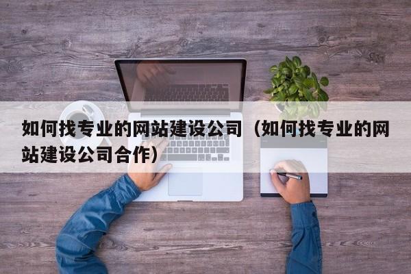 如何找专业的网站建设公司(如何找专业的网站建设公司合作)