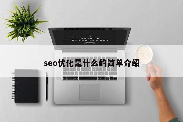 seo优化是什么的简单介绍