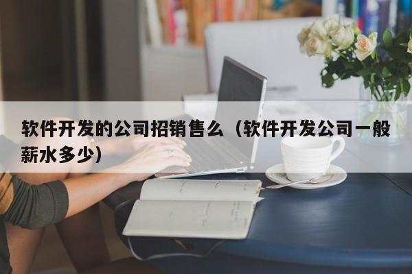 软件开发的公司招销售么(软件开发公司一般薪水多少)