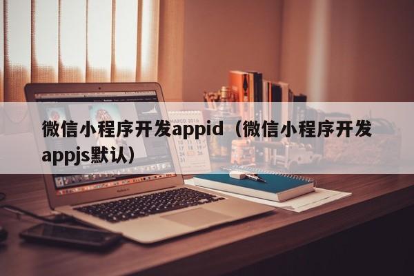 微信小程序开发appid(微信小程序开发appjs默认)
