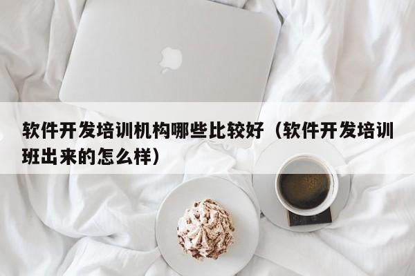 软件开发培训机构哪些比较好(软件开发培训班出来的怎么样)
