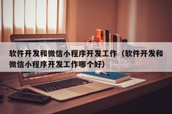 软件开发和微信小程序开发工作(软件开发和微信小程序开发工作哪个好)