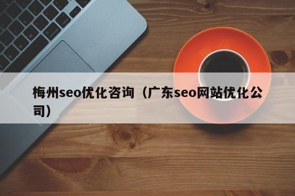 梅州seo优化咨询(广东seo网站优化公司)