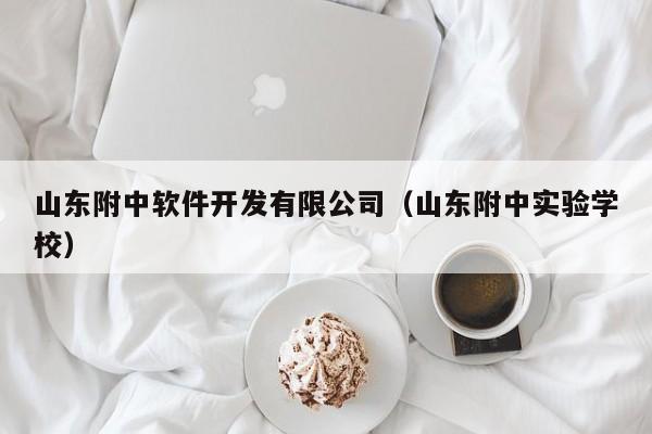 山东附中软件开发有限公司(山东附中实验学校)