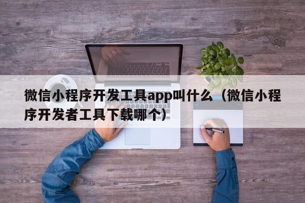 微信小程序开发工具app叫什么(微信小程序开发者工具下载哪个)