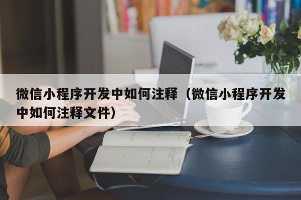 微信小程序开发中如何注释(微信小程序开发中如何注释文件)