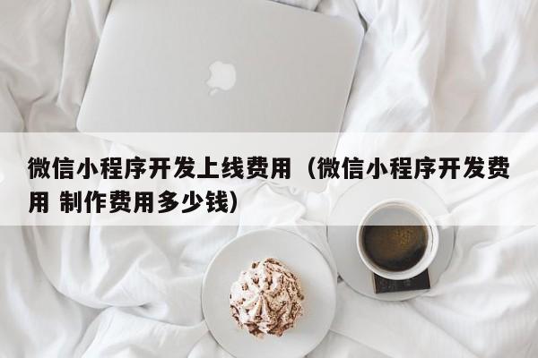 微信小程序开发上线费用(微信小程序开发费用 制作费用多少钱)