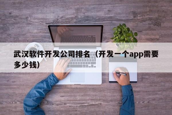 武汉软件开发公司排名(开发一个app需要多少钱)