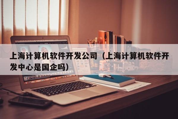 上海计算机软件开发公司(上海计算机软件开发中心是国企吗)
