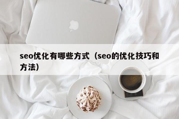 seo优化有哪些方式(seo的优化技巧和方法)