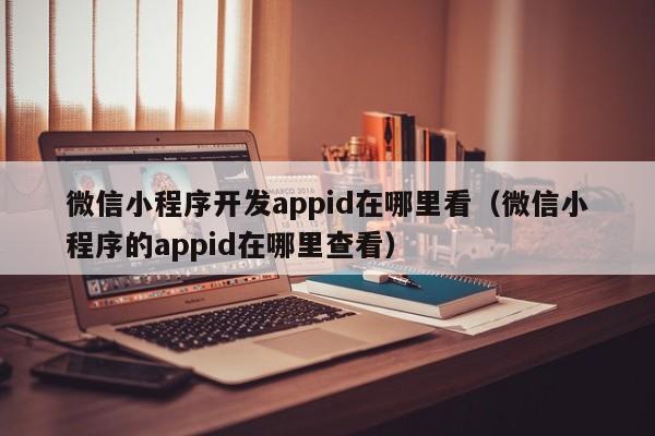 微信小程序开发appid在哪里看(微信小程序的appid在哪里查看)