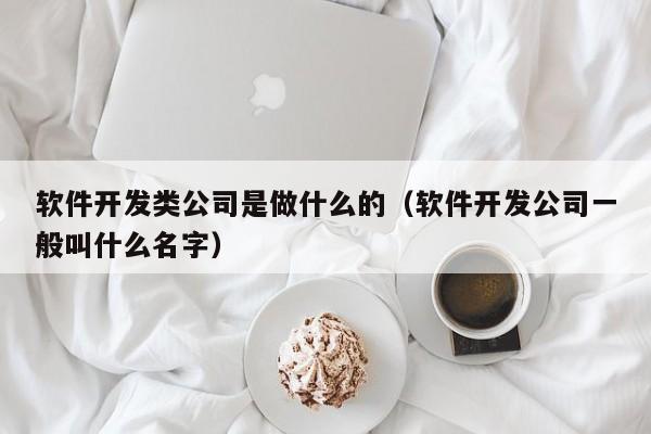 软件开发类公司是做什么的(软件开发公司一般叫什么名字)