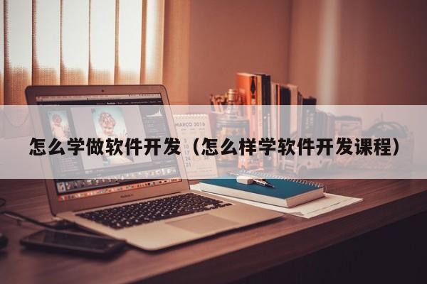 怎么学做软件开发(怎么样学软件开发课程)