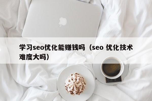 学习seo优化能赚钱吗(seo 优化技术难度大吗)