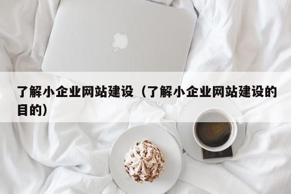 了解小企业网站建设(了解小企业网站建设的目的)