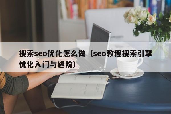 搜索seo优化怎么做(seo教程搜索引擎优化入门与进阶)