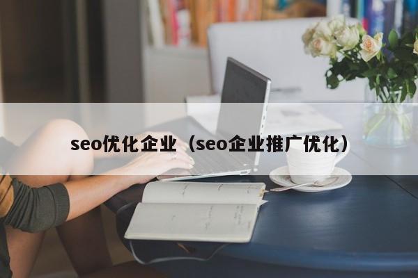 seo优化企业(seo企业推广优化)